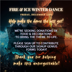 Fire & Ice Donations